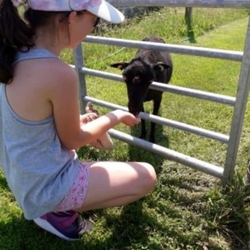 BC visits Appletree Farm in lockdown 1